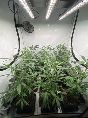 Growreport Bild 13