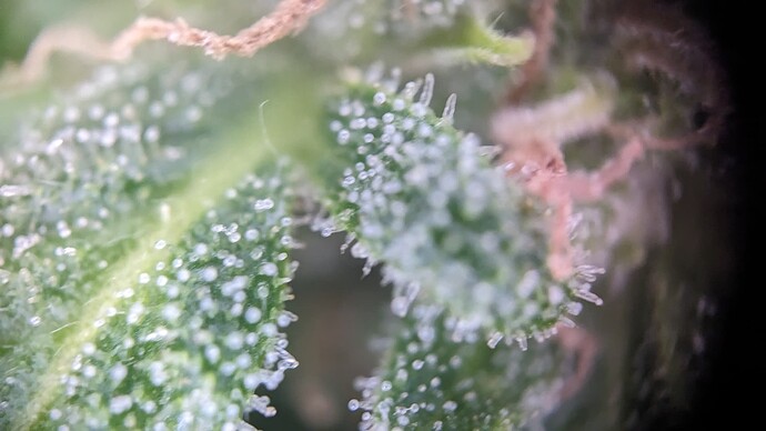 PXL_20230710_112901014