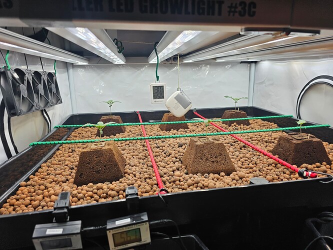 Growreport Bild 11