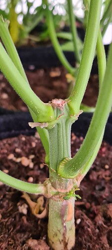 Growreport Bild 12