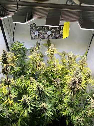 Growreport Bild 26