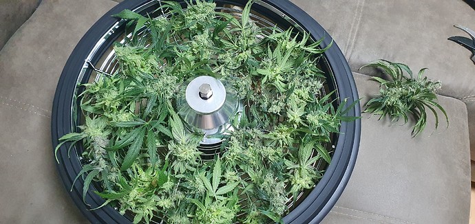 Growreport Bild 30