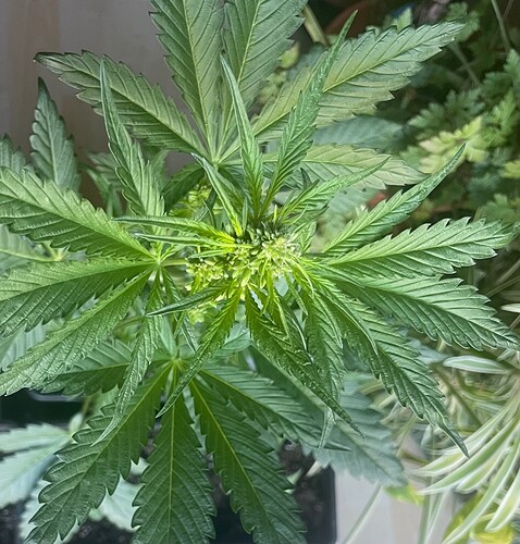 Growreport Bild 16
