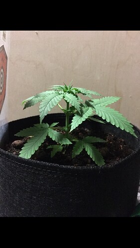 Growreport Bild 14