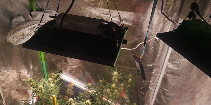Growreport Bild 12