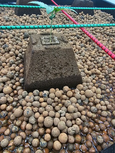 Growreport Bild 13