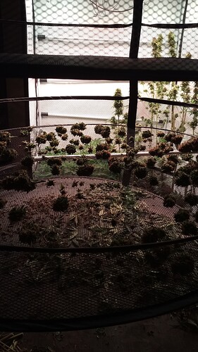 Growreport Bild 42