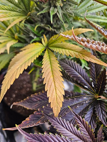 Growreport Bild 18