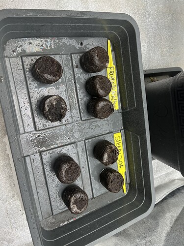 Growreport Bild 3