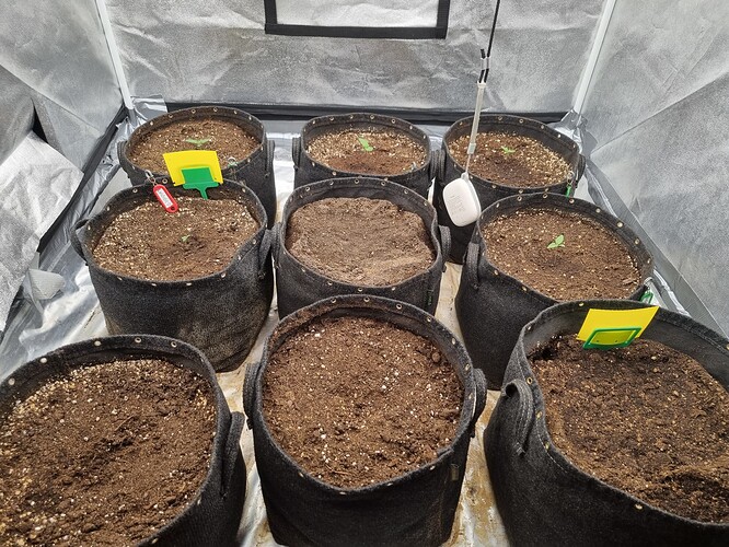 Growreport Bild 18