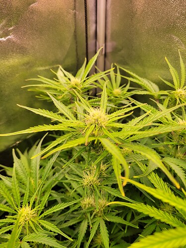 Growreport Bild 4