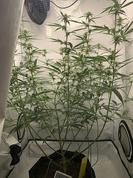 Growreport Bild 12