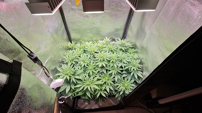 Growreport Bild 5