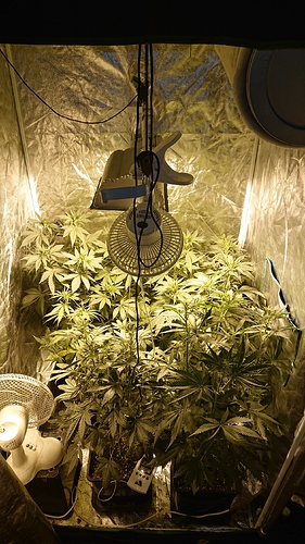 Growreport Bild 7