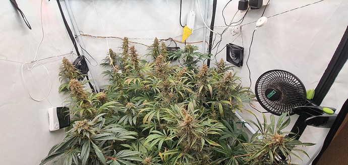 Growreport Bild 26