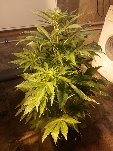 Growreport Bild 2