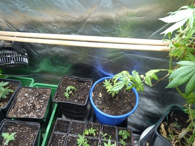 Growreport Bild 14