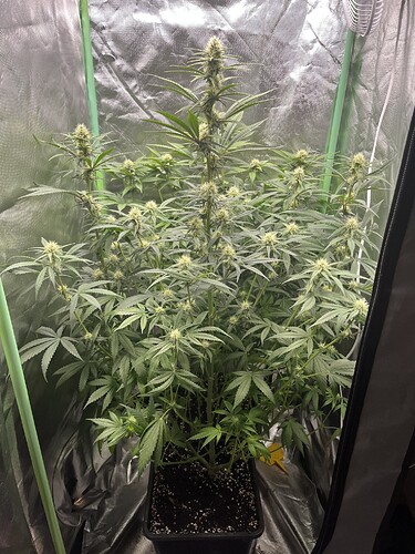 Growreport Bild 10