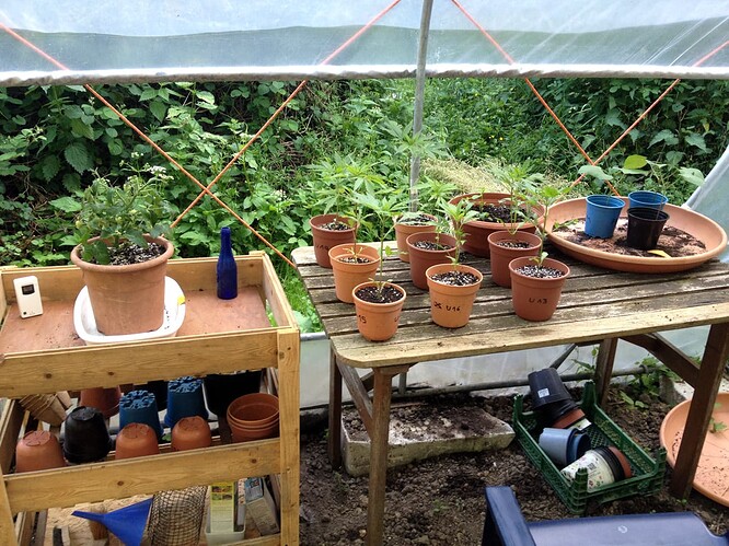 Growreport Bild 23
