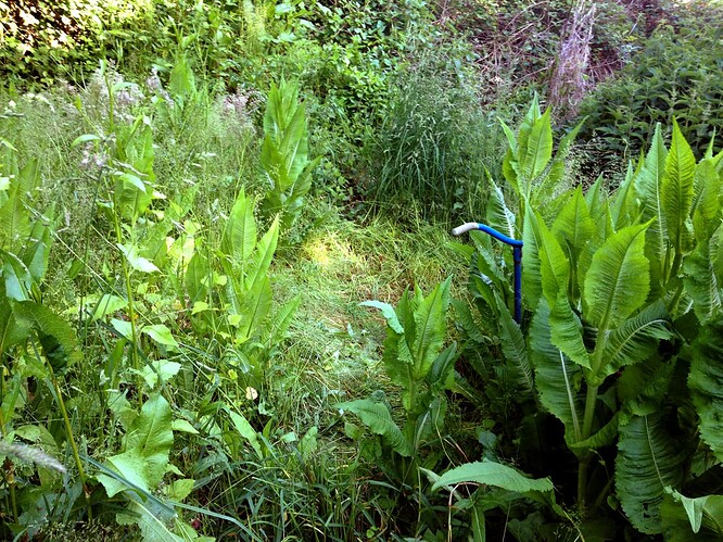 Growreport Bild 28