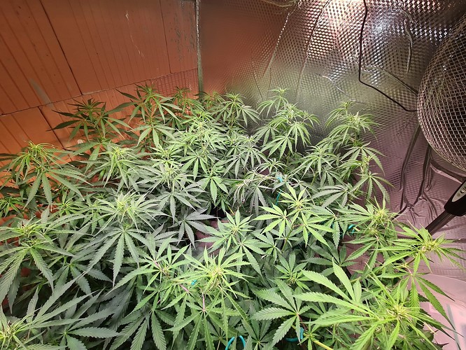 Growreport Bild 8