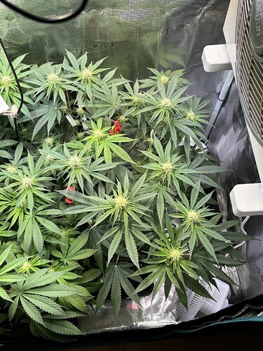 Growreport Bild 10
