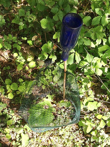 Growreport Bild 87