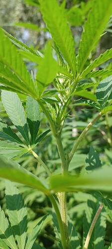 Growreport Bild 3