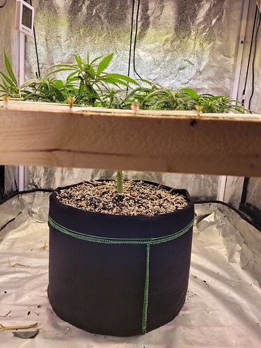 Growreport Bild 10