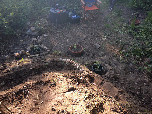 Growreport Bild 18