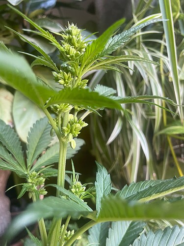 Growreport Bild 17