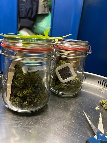 Growreport Bild 20