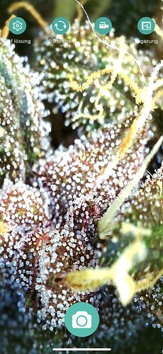 Growreport Bild 4