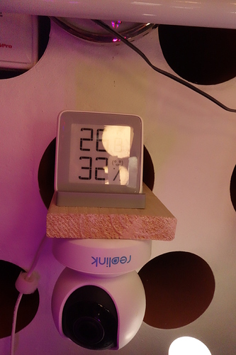 Growreport Bild 10