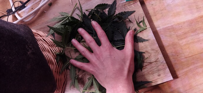 Growreport Bild 67