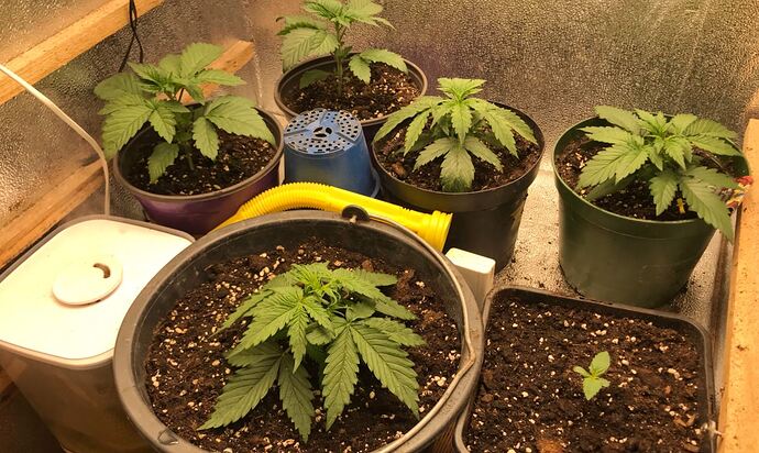 Growreport Bild 21