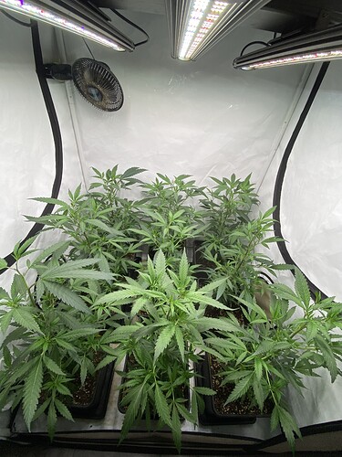 Growreport Bild 12