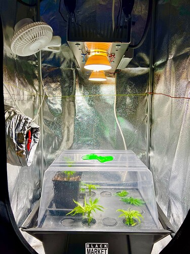 Growreport Bild 17