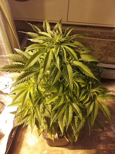 Growreport Bild 12