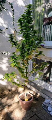 Growreport Bild 6