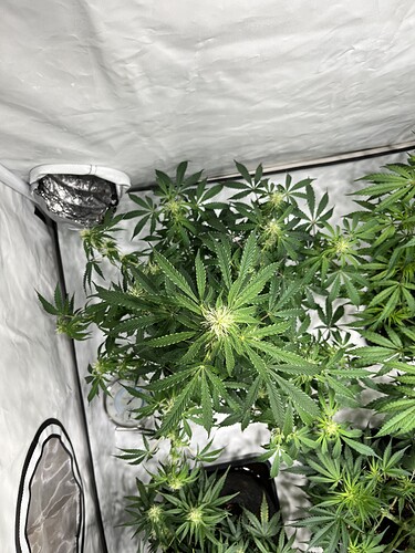 Growreport Bild 13