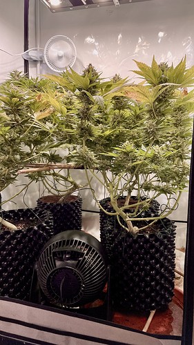 Growreport Bild 10