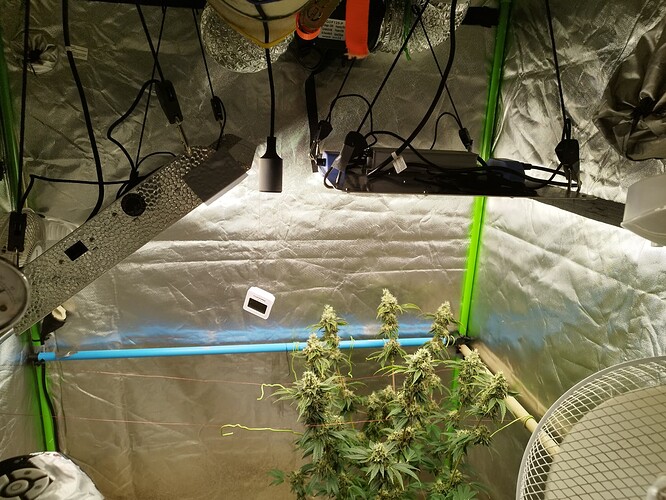 Growreport Bild 7