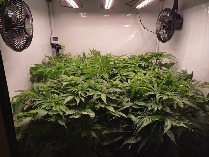 Growreport Bild 16
