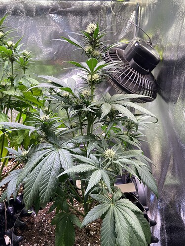 Growreport Bild 17