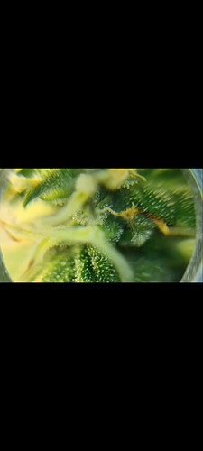 Growreport Bild 7