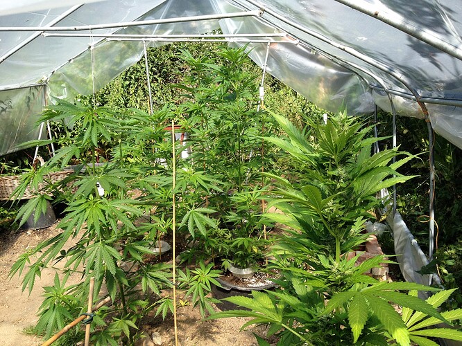 070_SiebterSiebter_08