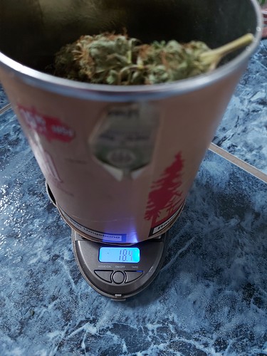 Growreport Bild 34