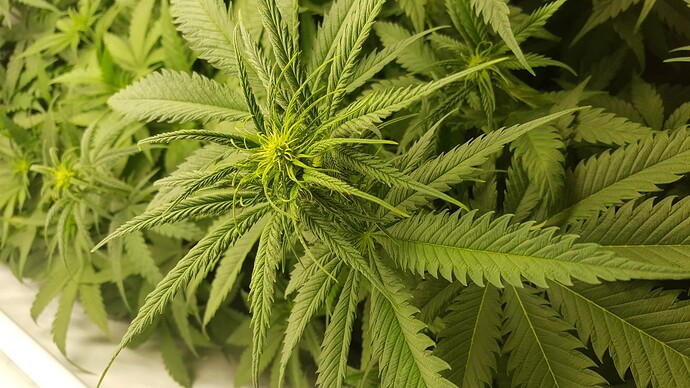 Growreport Bild 10