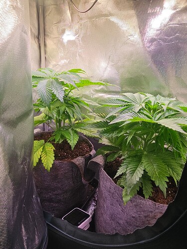 Growreport Bild 12